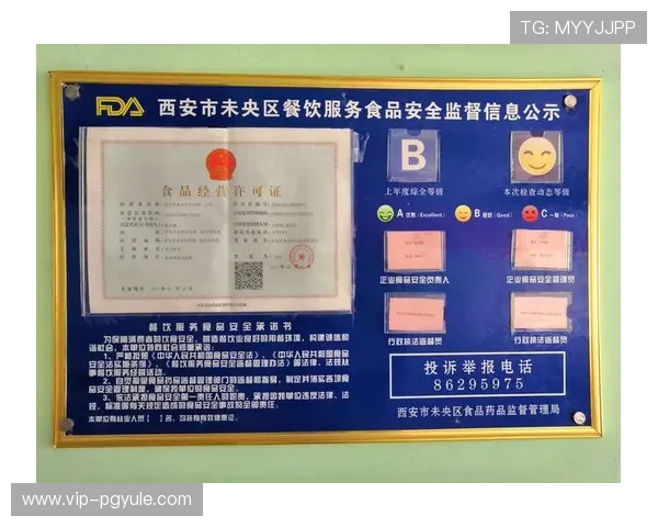 利来ag旗舰厅下载安全可靠保障玩家资金与信息安全的全面措施解析